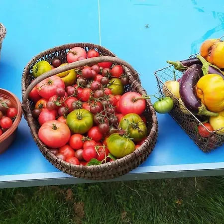 La Ferme Du Tilleul Maison d'hôtes 3*