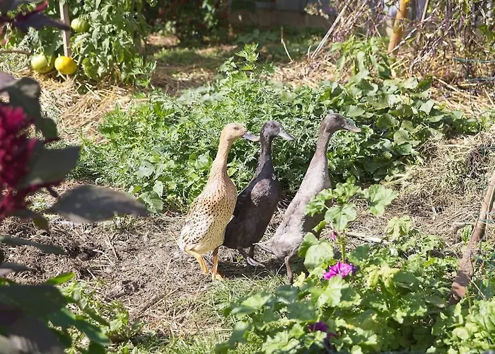 La Ferme Du Tilleul 3* Conchy-les-Pots