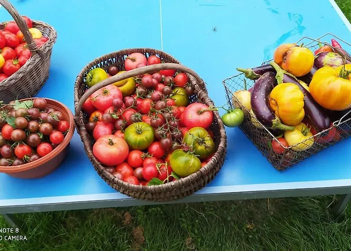 La Ferme Du Tilleul Maison d'hôtes 3*